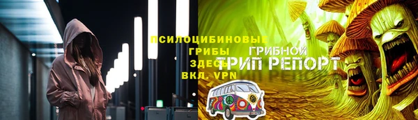 apvp Алексин