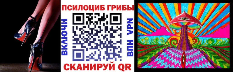 блэк спрут маркетплейс Дубовка Псилоцибиновые грибы Psilocybe